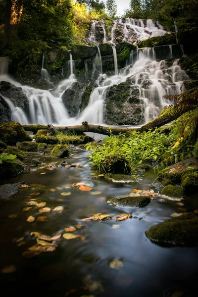 Pionowe Ujęcie Pięknego Wodospadu Lesie — Zdjęcie stockowe