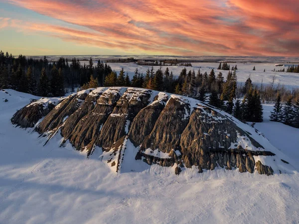 Een Prachtig Uitzicht Bomen Een Besneeuwd Bos Met Een Enorme — Stockfoto