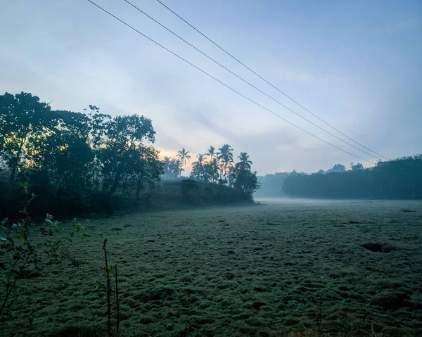 An uncultivated paddy field is filled with fog and dew drops in a cold winter morning. We can also see the sun starting to rise in the blue sky.