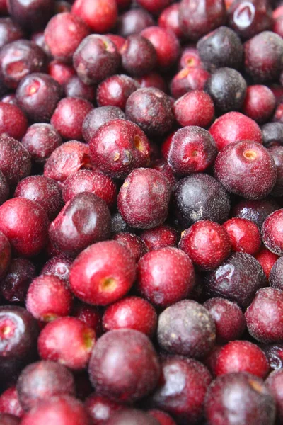 Ripe Indian Sherbet Berry Phalsa Fruit Background — Stock Photo, Image