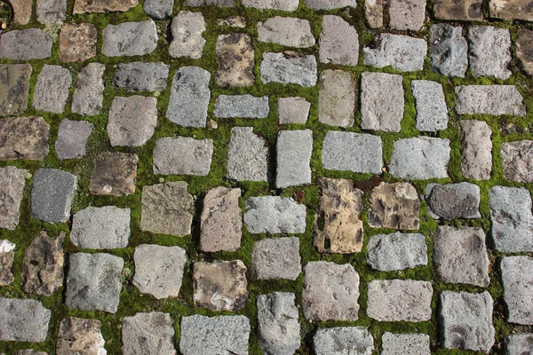 Closeup Mossy Cobblestone Surface — Stock Photo, Image