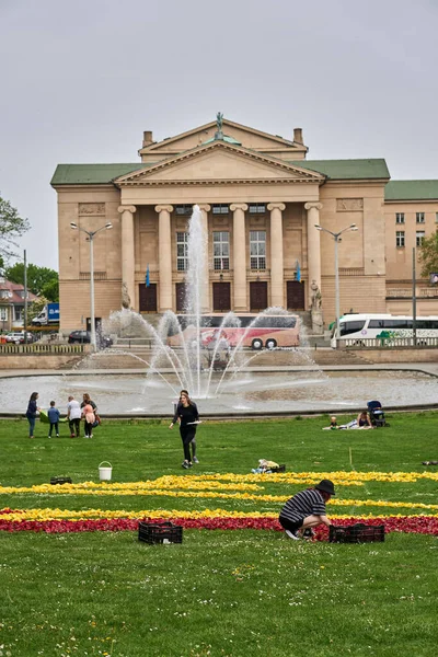 Young People Decorating Grass Flowers Adam Mickiewicz Park Close Grand — Stock Photo, Image