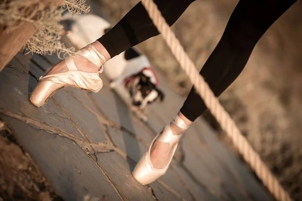 Closeup Shot Feet Ballerina Pointe Shoes Jack Russell Terrier Background — Stock Photo, Image