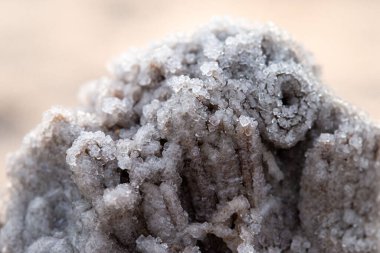 Sahilde kristal tuz kabuğuyla kaplı dikey bir kum görüntüsü.