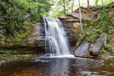 Tembel bir şelale orman zeminine doğru ilerliyor ve zengin bir çöle dökülüyor..