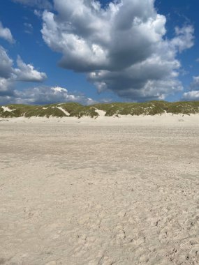 Kum ve tepelerin dikey görüntüsü güneşli bir günde mavi gökyüzüne karşı ağaçlarla kaplı.
