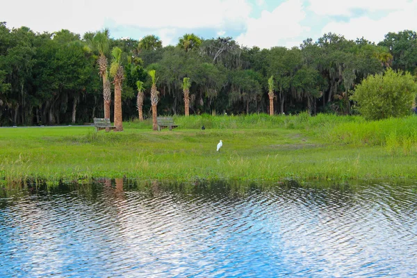 Een Kraan Een Baai Omringd Door Bomen — Stockfoto