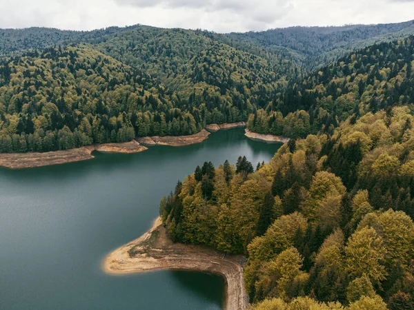 Вид Воздуха Озеро Видрару Окружении Пышных Лесов Округе Аргес Румыния — стоковое фото