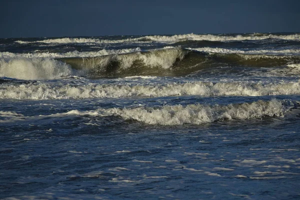Rolling North Sea Waves Sunny Stormy Winter Morning Egmond Aan — Stock Photo, Image