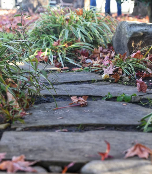 Sebuah Jalan Setapak Taman Dengan Daun Jatuh — Stok Foto