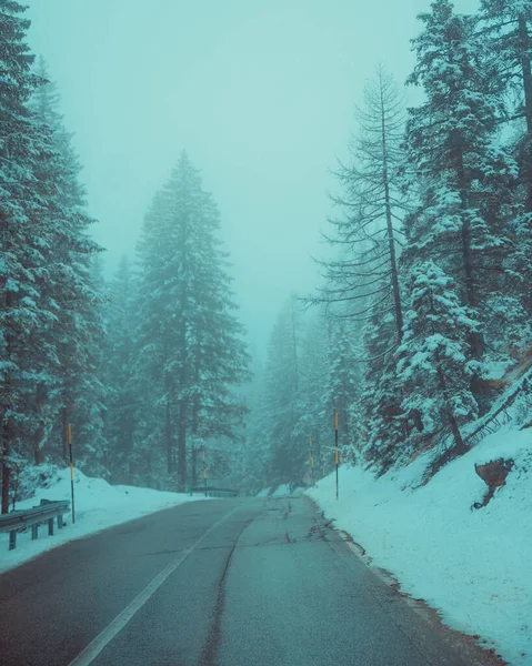 Ένα Κάθετο Πλάνο Ενός Ομιχλώδους Δρόμου Στο Δάσος Καλυμμένου Χιόνι — Φωτογραφία Αρχείου