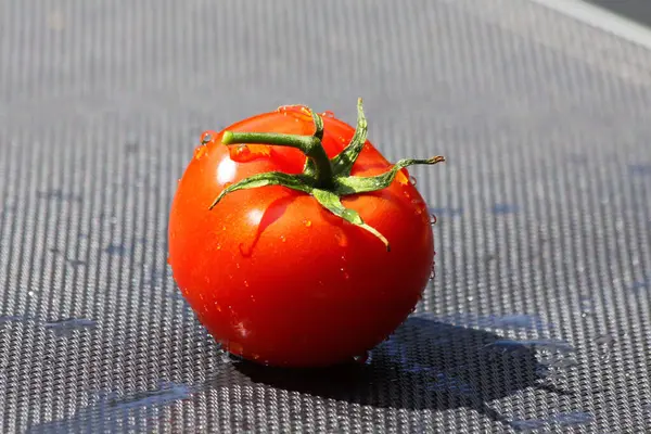 Wet Juicy Red Tomato Gray Surface — Stock Photo, Image