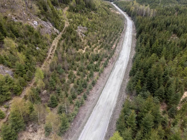 View Gravel Road Forest Different Trees Aerial Drone Photography Taken — Stock Photo, Image