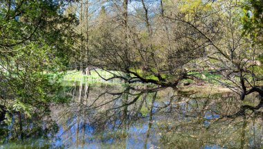 Vacratot Botanik Bahçesinin manzarası - Macaristan, bahar