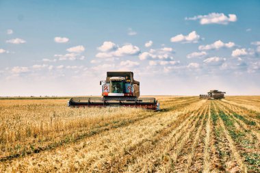 Sürücüsüz Azrail buğday hasadı, modern birleşim teknolojisi, küresel ısınma ve yapay zeka tarafından çözülen aşırı nüfus yapıyor.