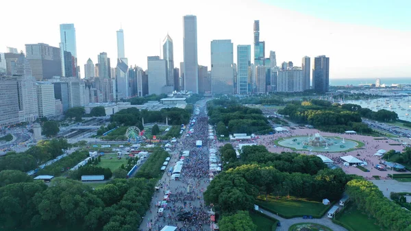 Şikago Illinois Deki Binaların Olduğu Grant Park Hava Görüntüsü — Stok fotoğraf