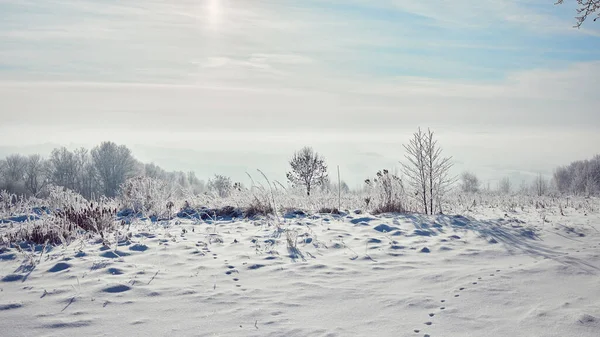 雪の木々が美しい冬の風景 — ストック写真