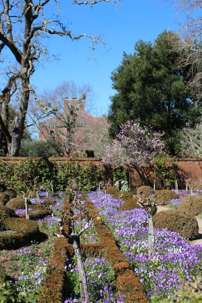 Plano Vertical Hermoso Jardín Rodeado Diferentes Flores Arbustos — Foto de Stock