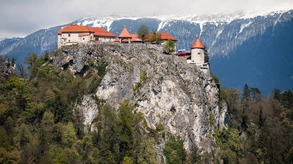 Vedere Castelului Bled Stâncă Fundalul Munților Slovenia — Fotografie, imagine de stoc