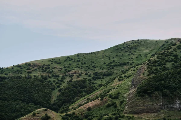 Μια Θέα Στο Φυσικό Τοπίο Ενός Λόφου Καμπύλες Πλαγιές Καλυμμένες — Φωτογραφία Αρχείου