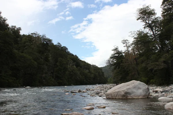 Veduta Aerea Fiume Una Foresta — Foto Stock