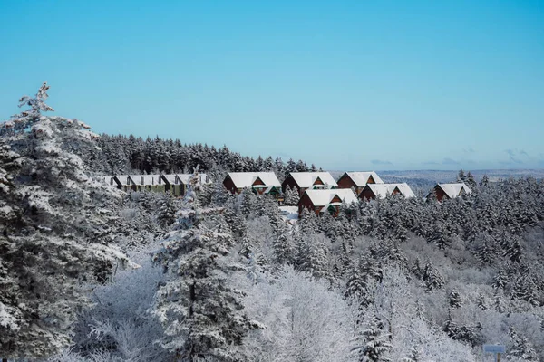 森林里有别墅的美丽的冬季风景 — 图库照片