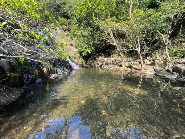 Tiro Pequeño Río Bosque — Foto de Stock