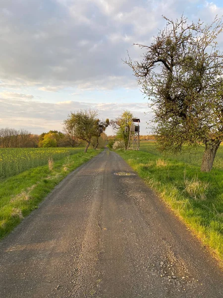 Naturlig Bild Rak Landsväg Med Jordbruksmark Båda Sidor — Stockfoto