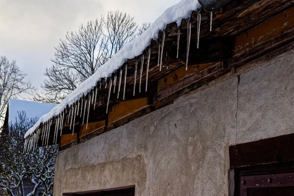 A closeup of icicles with snow on the roof against the cloudy sky and tree branches.