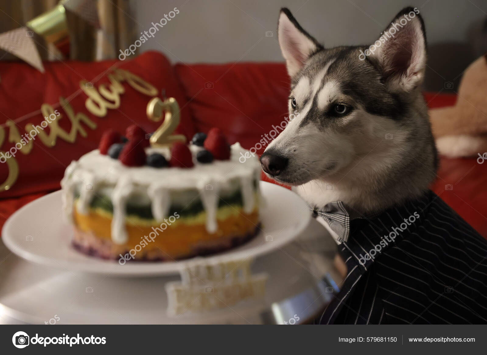 Siberian husky cheap birthday cake