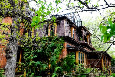 The detached house in the forest surrounded by green vegetation.