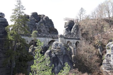A scenic view of Bashtai rock formation and a bridge covered with trees on a sunny day in Germany