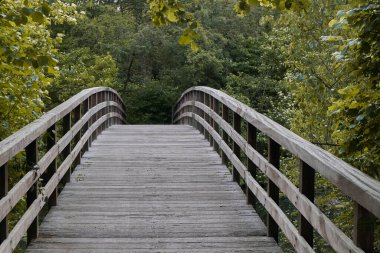 Ormanda uzun kemerli ahşap bir köprü