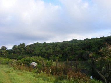 Çitlerle çevrili güzel bir orman manzarası