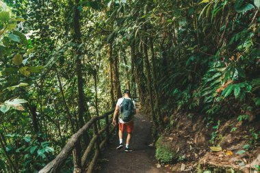 A back view of a male hiker walking on a pathway through the lush jungle in La Fortuna, Costa Rica