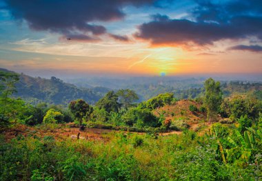A beautiful landscape surrounded by green trees and bushes in Bandarban during sunset