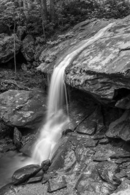 A vertical grayscale shot of the beautiful waterfall in the forest.
