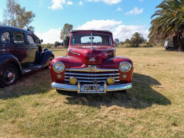 Old red Ford Super DeLuxe 8 convertible 1946 - 1948 on the grass. Front view. Nature trees. Front view. Grill. Badge. Classic car show. Copyspace