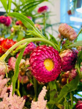 Çiçekçi dükkanındaki pembe çiçeklerin seçici odak noktası.