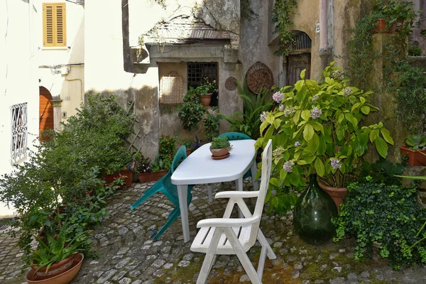 Sokaktaki Masanın Etrafındaki Boş Sandalyeler Yeşil Bitki Örtüsüyle Çevrili Lenola — Stok fotoğraf