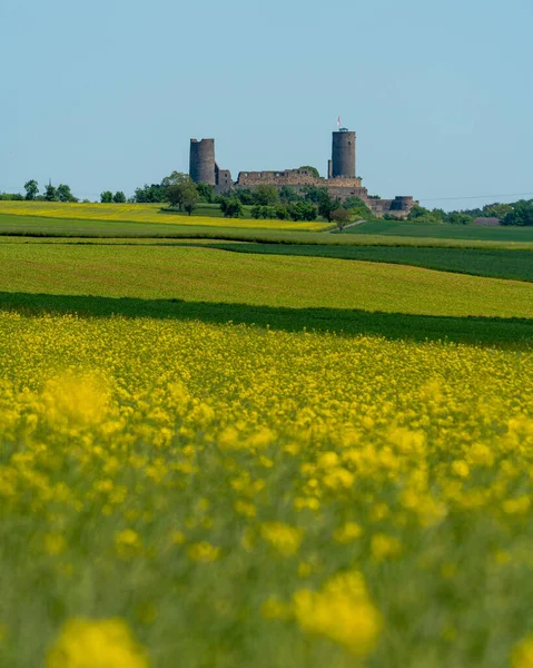 Beautiful View Munzenberg Castle Yellow Flowers Foreground Wetteraukreis Hesse Germany — Foto de Stock