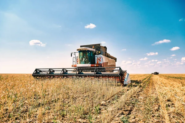 Driverless Reaper Performs Wheat Grain Harvest Modern Combine Technology Global — Stock Photo, Image