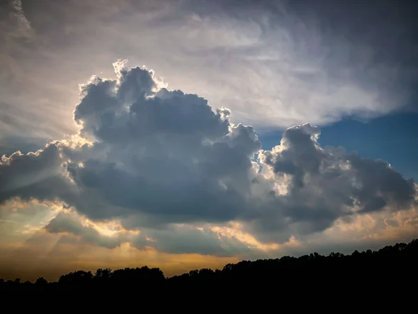 Una Vista Aerea Una Bellissima Foresta Durante Tramonto — Foto Stock