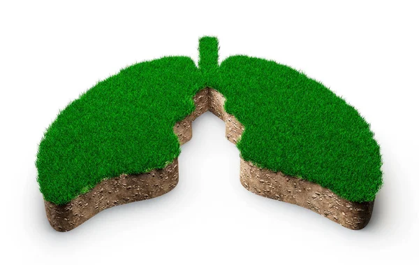 Ilustrace Tvaru Plic Zelené Trávy Skály Mleté Textury Průřezu — Stock fotografie