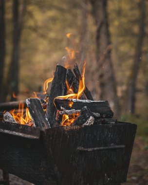 A vertical closeup shot of the wood burning in fire on an old brazier