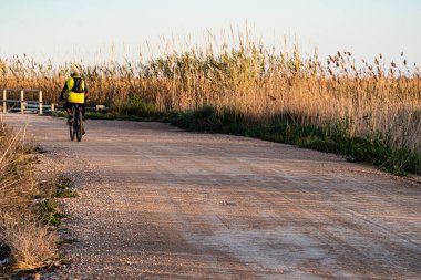 A scenic view of a person cycling on a bike on the road in a rural area