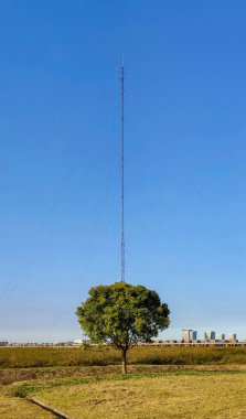 An anemometer visually cutting a tree in a field in half