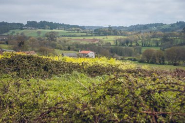An aerial view of the rural Santiago's road in Galicia, Spain