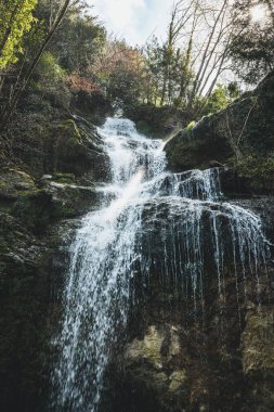 Ormanda güzel bir şelale