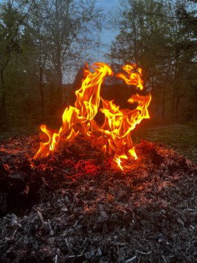 A vertical shot of a bonfire in the forest in the evening